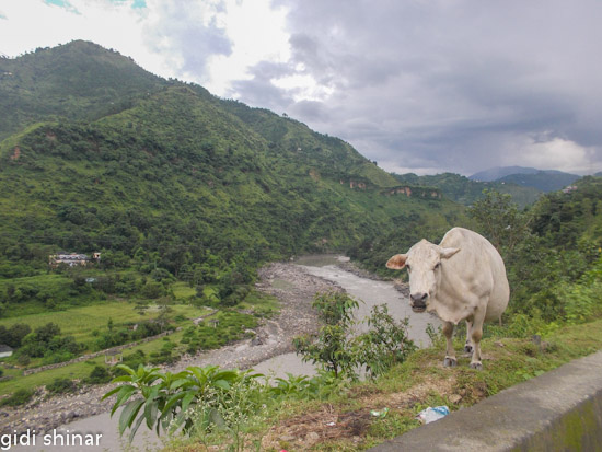 הדרך לקאסול