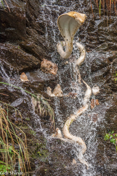 בבית קפה במפל הקטן באגסו