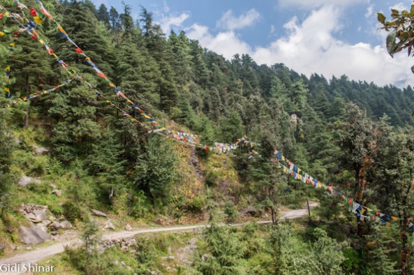 בדרך לכפר הילדים הטיבטים