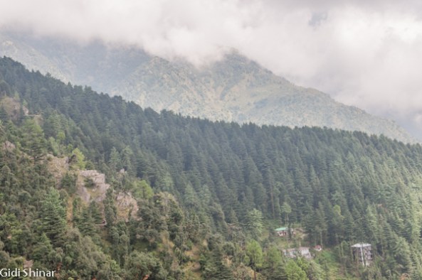 בדרך לכפר הילדים הטיבטים