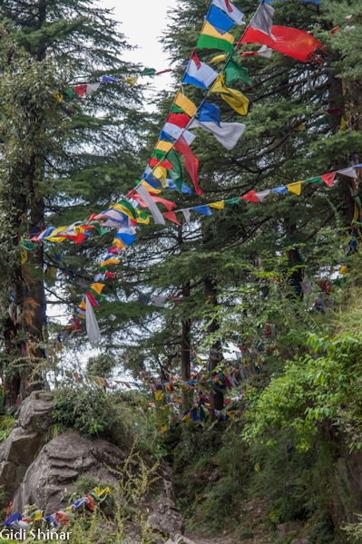 בדרך לכפר הילדים הטיבטים