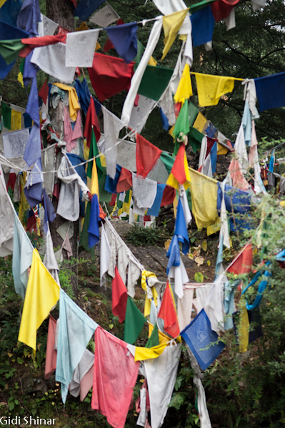 בדרך לדרמקוט מכפר הילדים הטיבטי