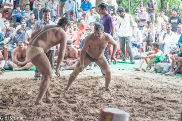 האבקות הודית במקלוד גאנג'