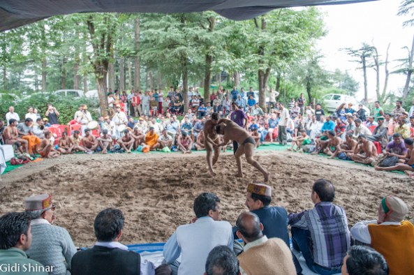 האבקות הודית במקלוד גאנג'